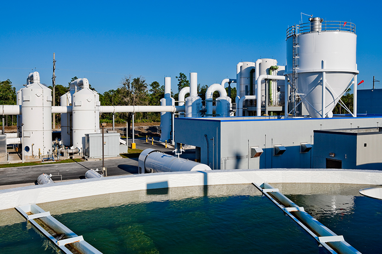 Water Plants